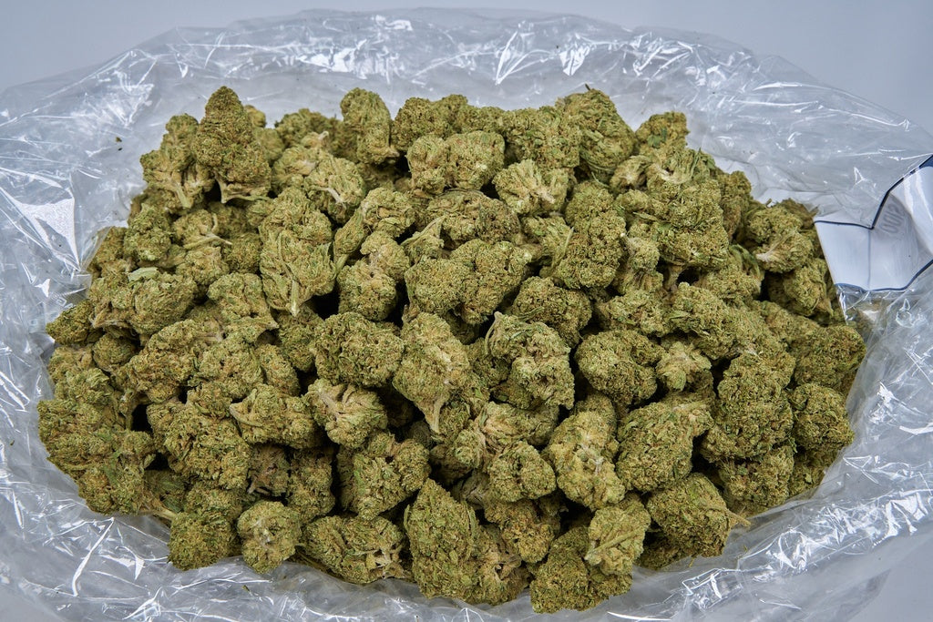 Dosidos Indoor