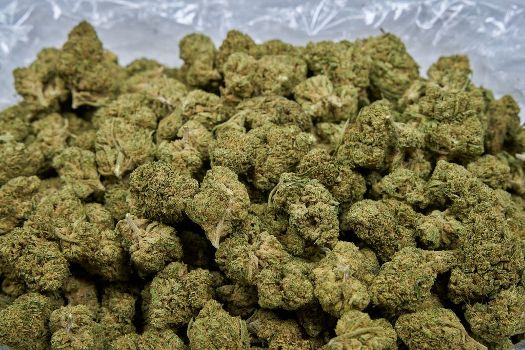Dosidos Indoor