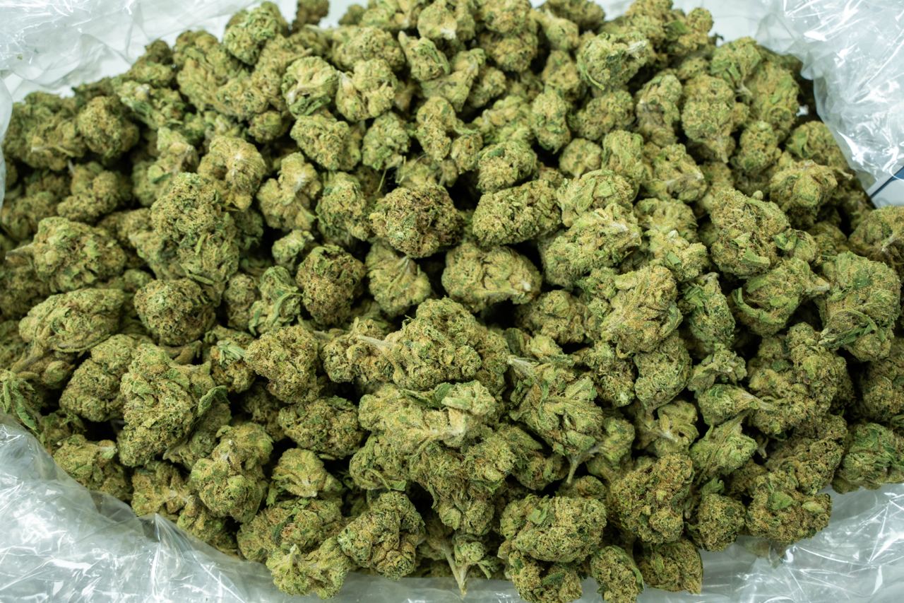 Gelato Indoor