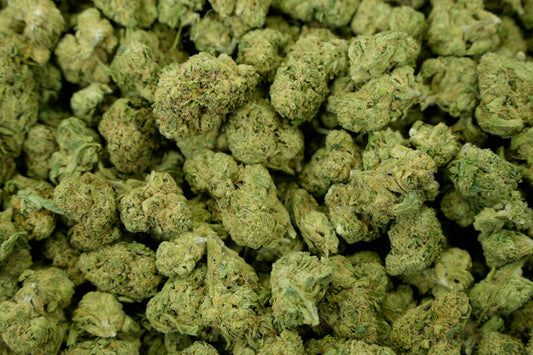 Gelato Indoor