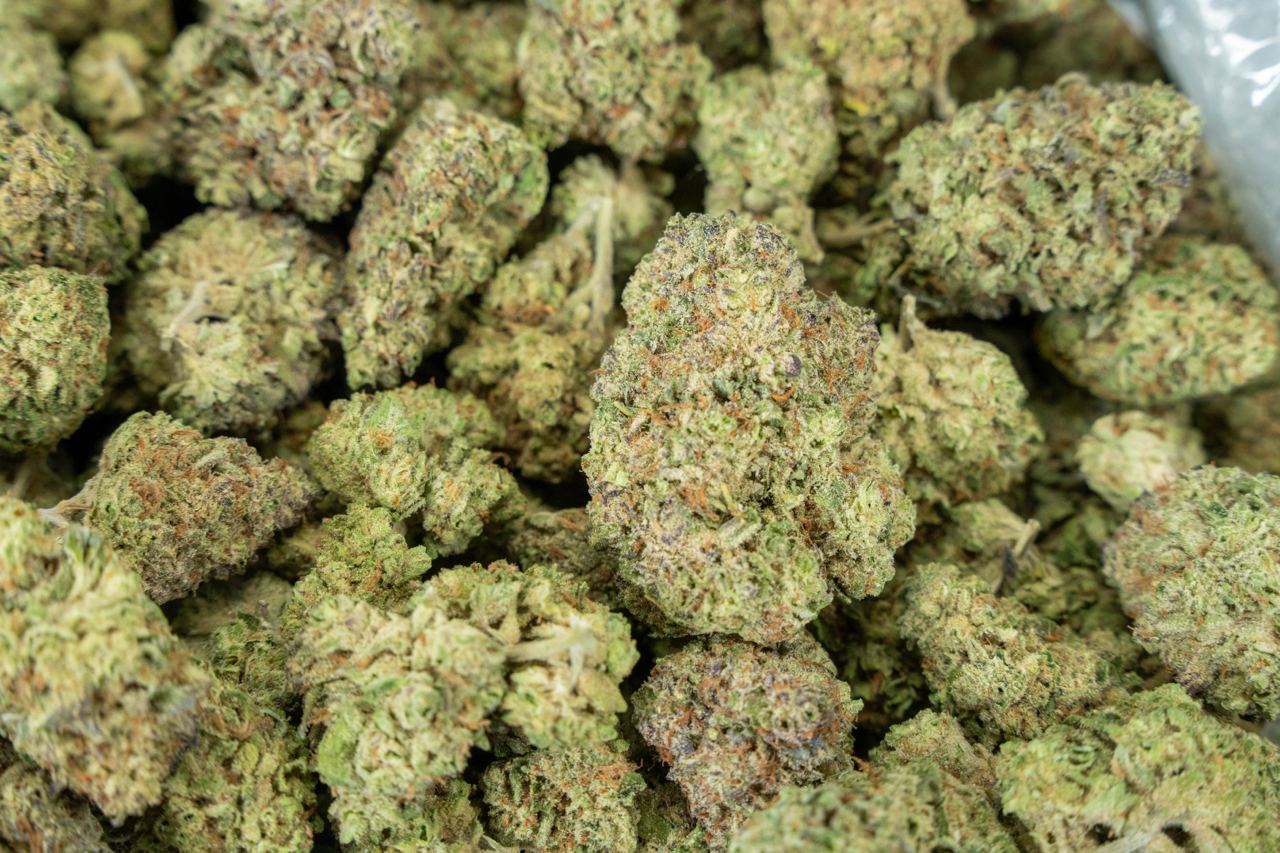 Girl Scout Cookies - Indoor