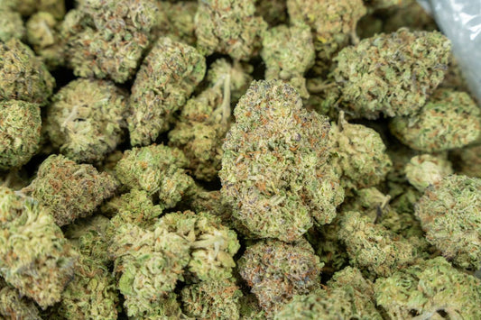 Girl Scout Cookies - Indoor