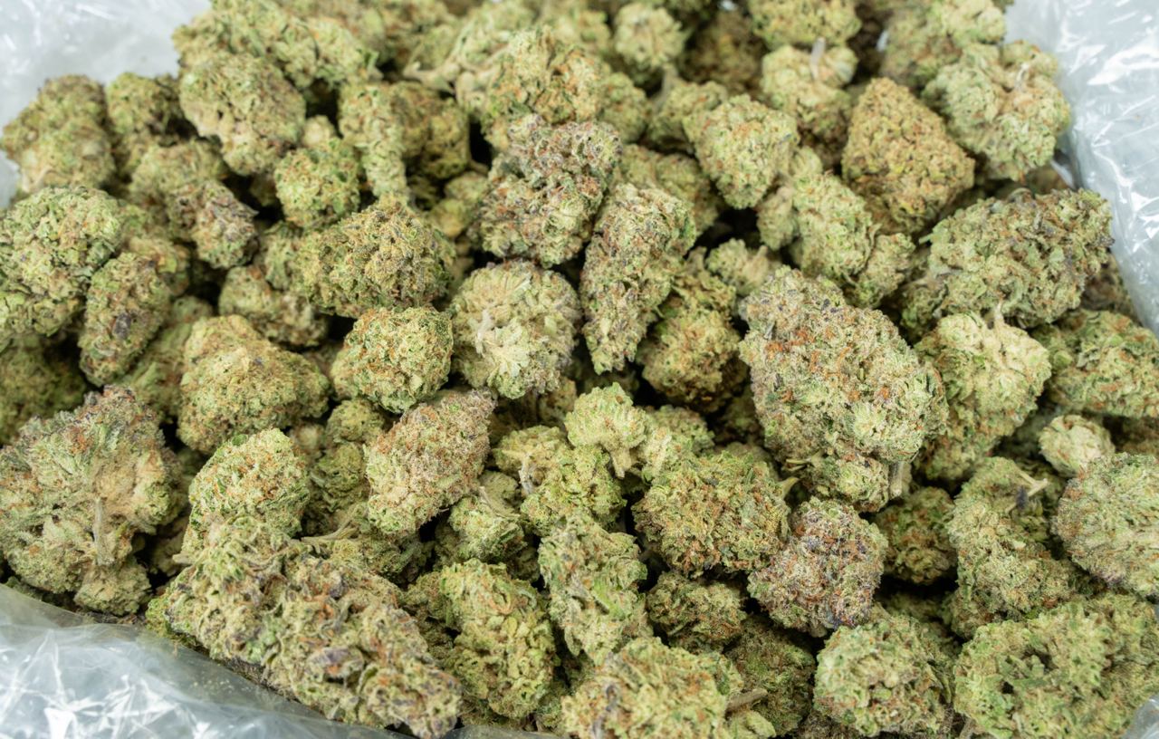 Girl Scout Cookies - Indoor