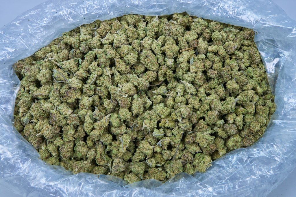 Gushers Smalls