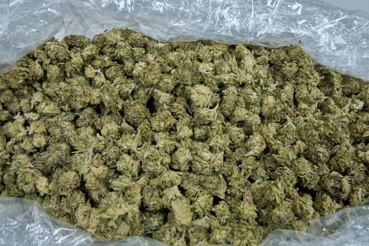 Gmo Cookies  - Smalls