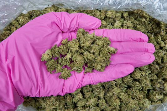 Gmo Cookies  - Smalls