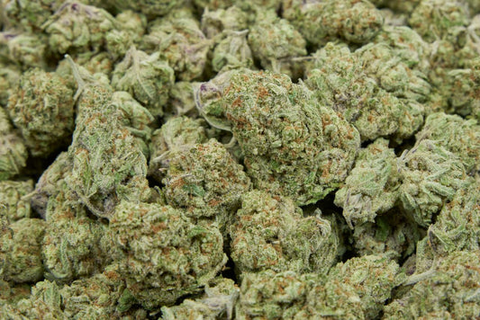 Orange Creamsicle