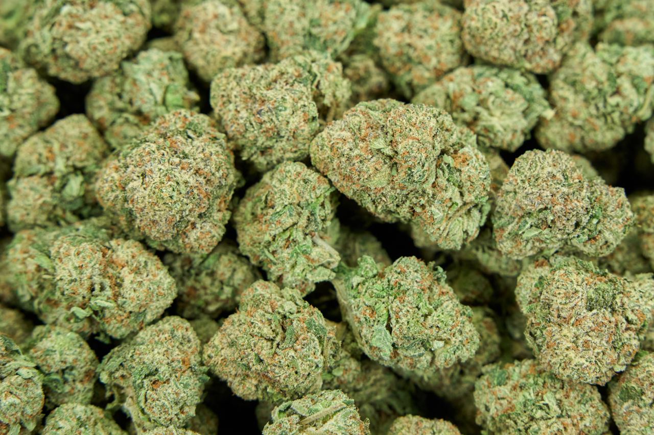 Rolls Choice Indoor