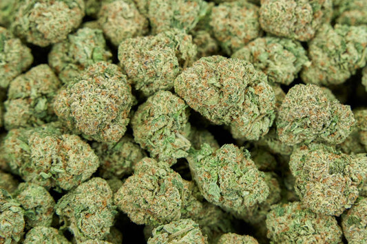 Rolls Choice Indoor
