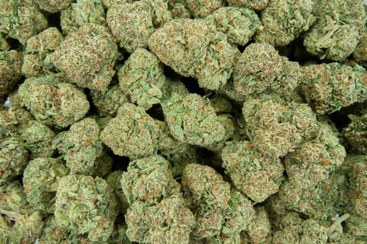 Rolls Choice Indoor