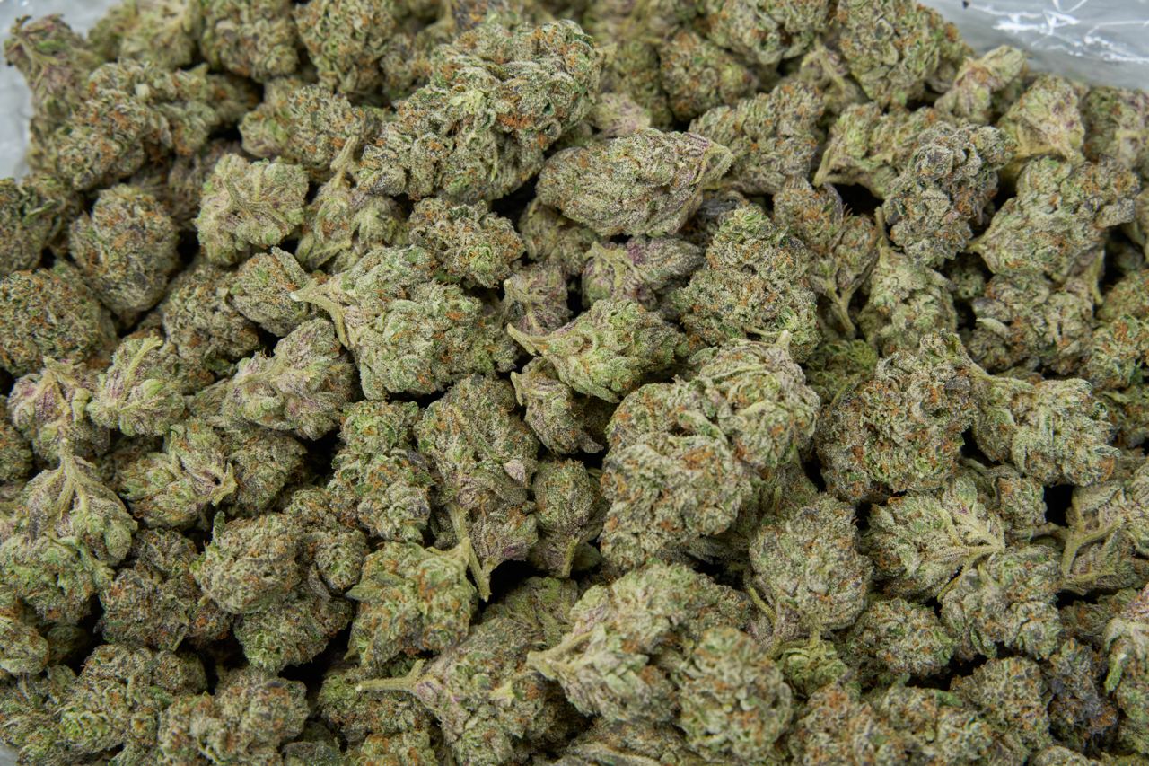 Blue Dream Indoor