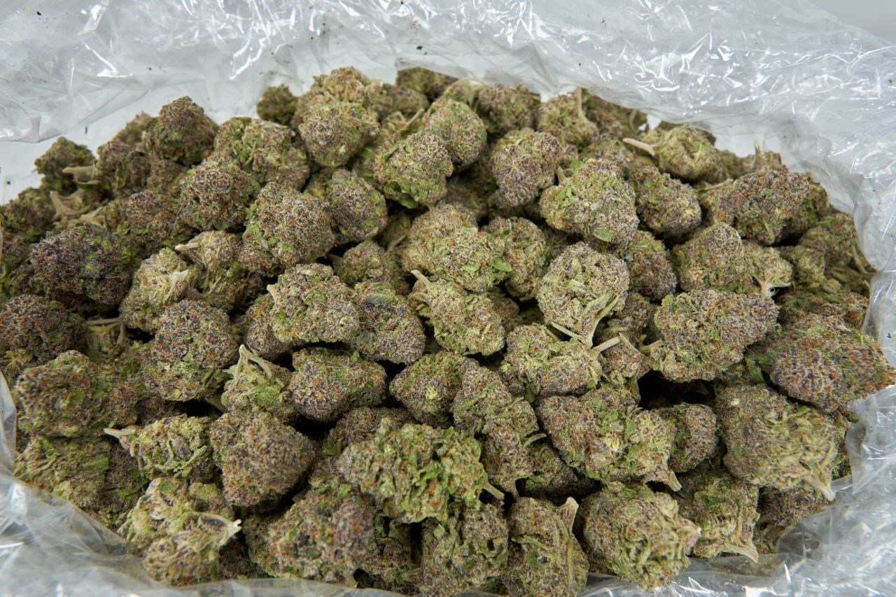 Venom Og Indoor