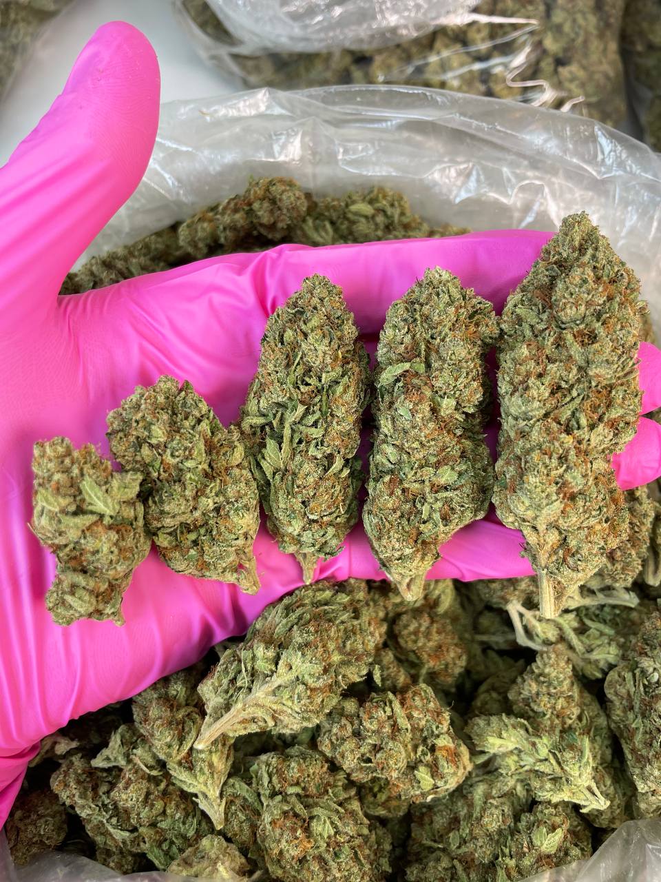 Ghost Vapor Og
