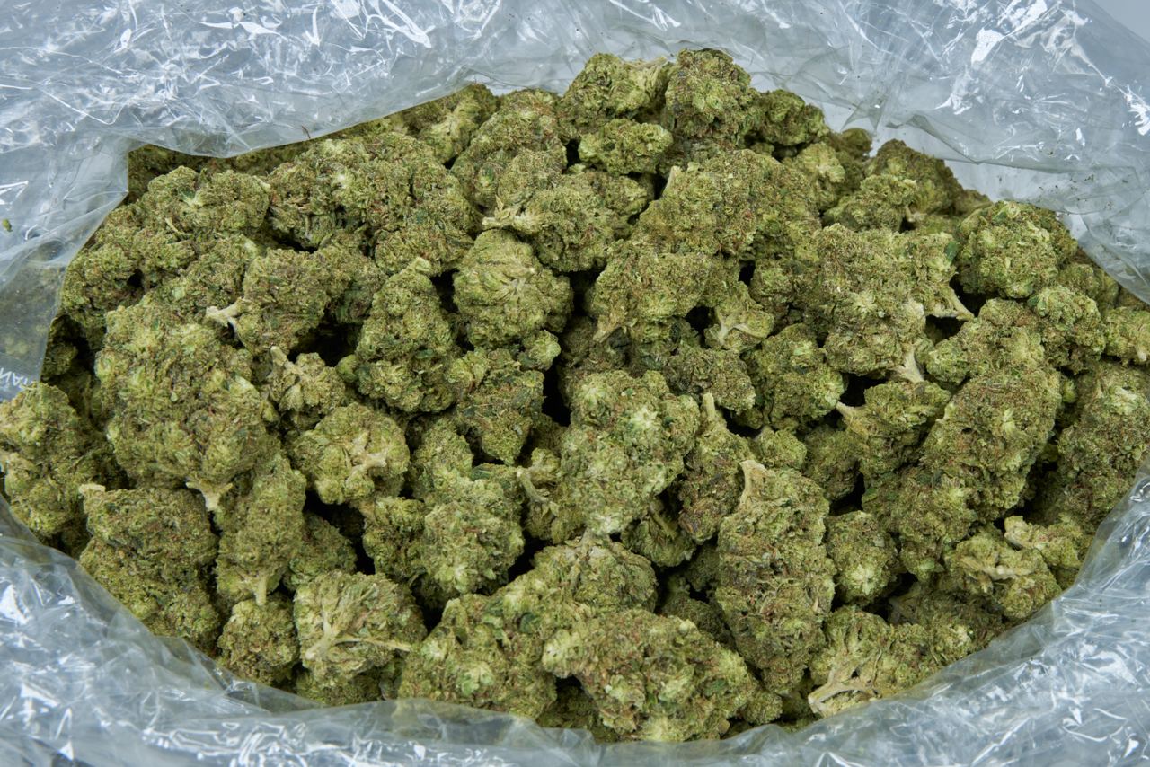 Og Kush