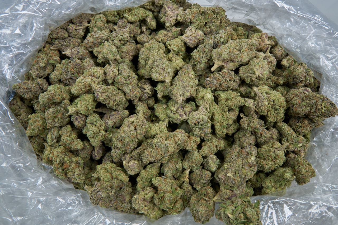 Apple Fritter Indoor