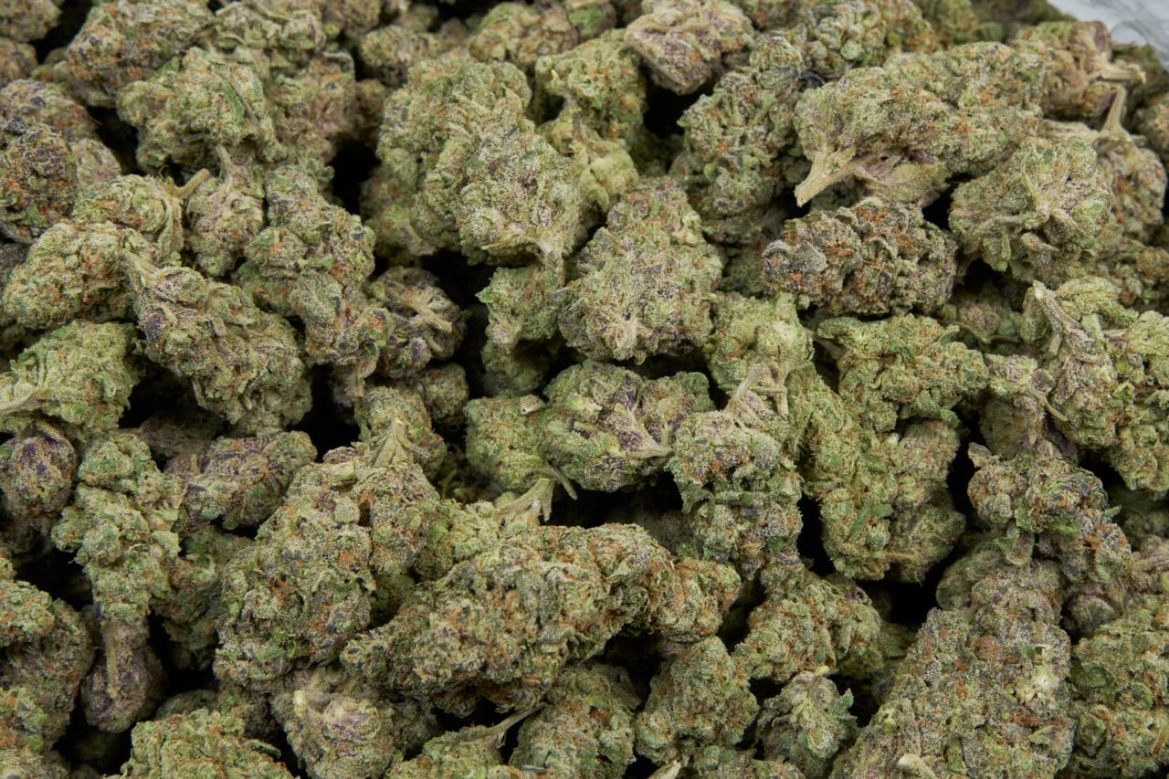 Apple Fritter Indoor