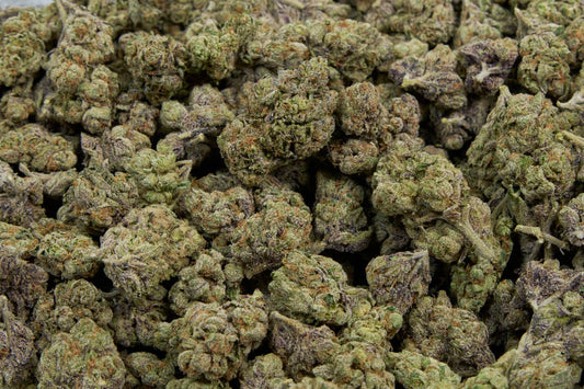 Runtz (Thca) Indoor