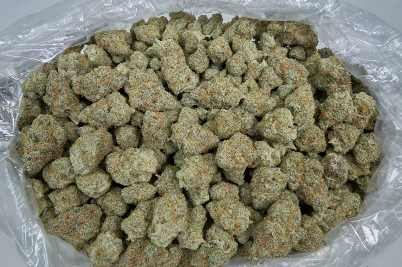 Super Boof Indoor