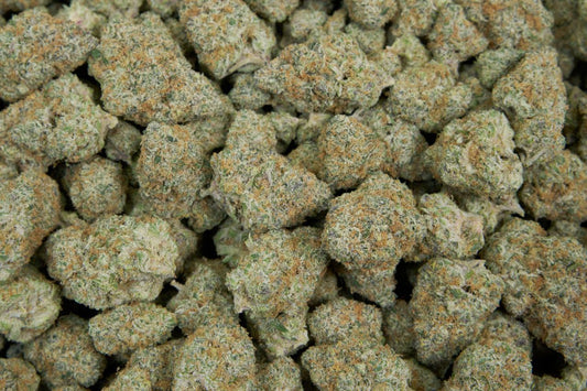 Super Boof Indoor