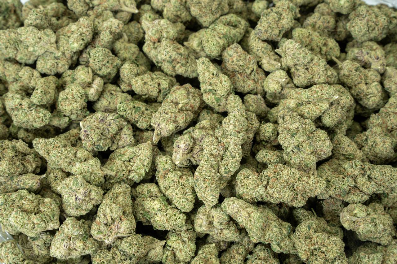 Gmo Cookies  - Indoor