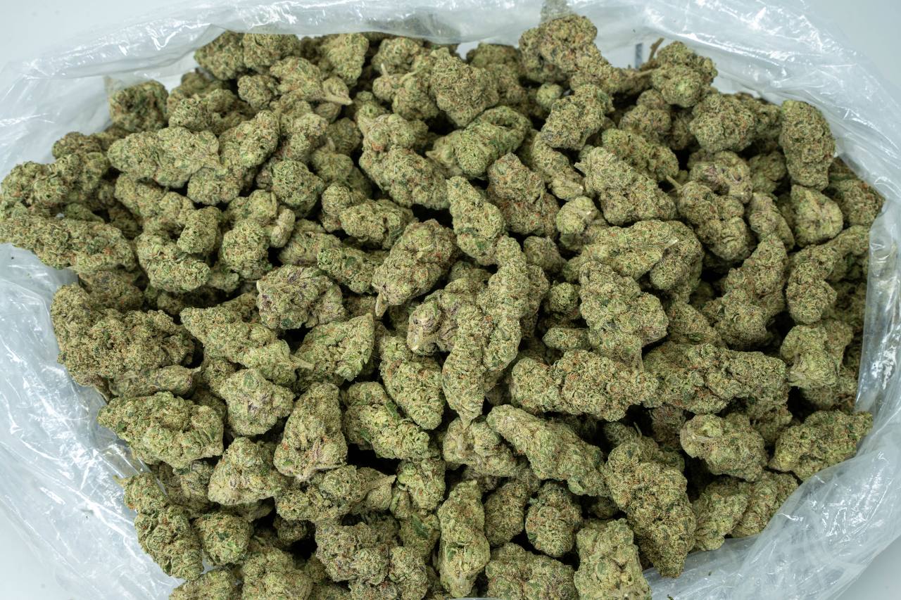 Gmo Cookies  - Indoor