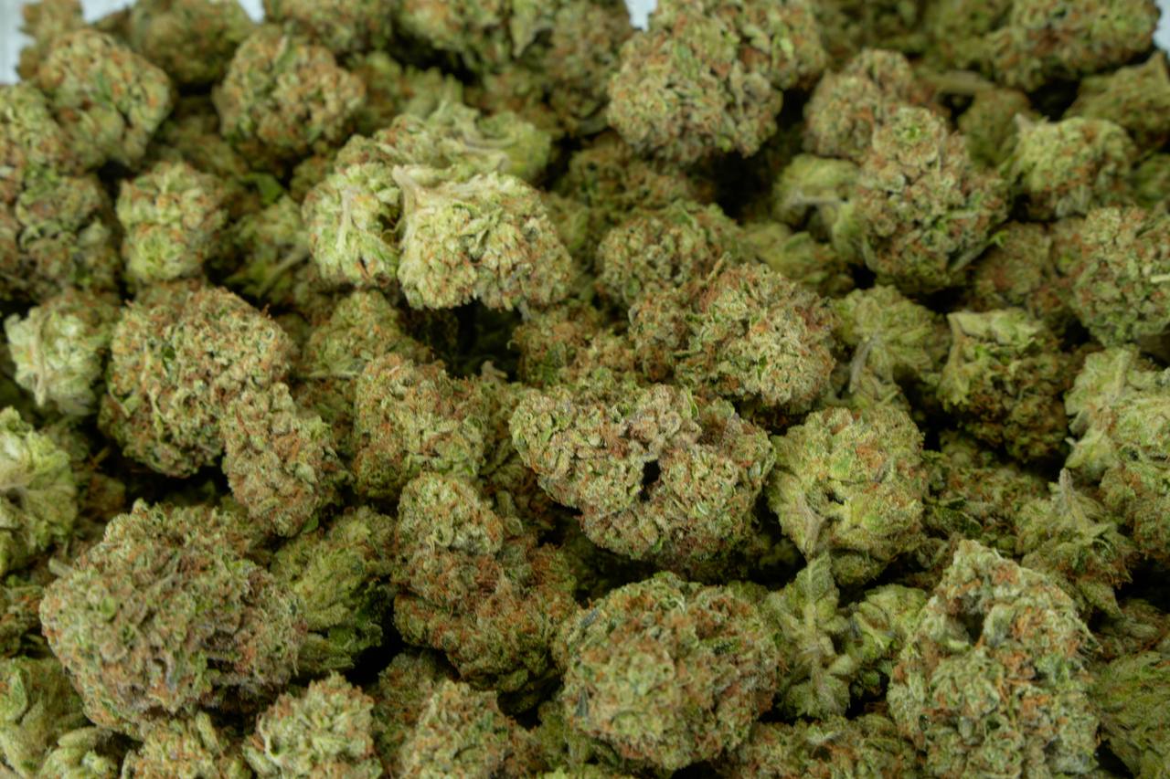 Octane Gas  - Indoor