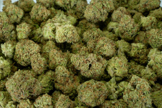 Octane Gas  - Indoor