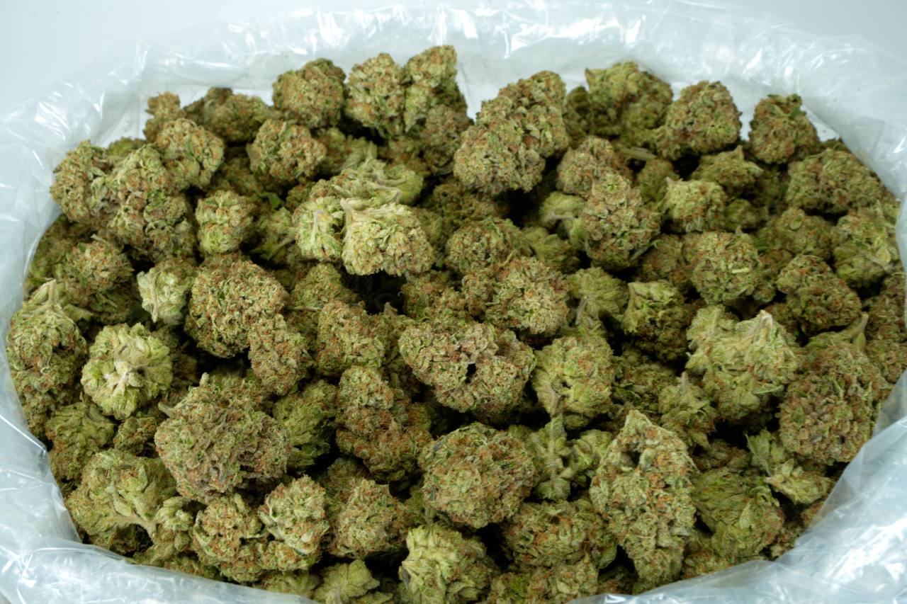 Octane Gas  - Indoor