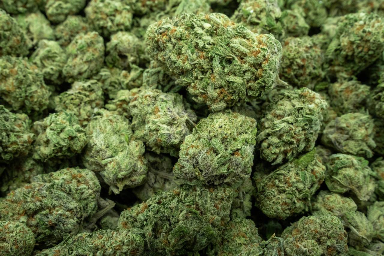 Orange Creamsicle Indoor