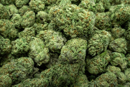 Orange Creamsicle Indoor