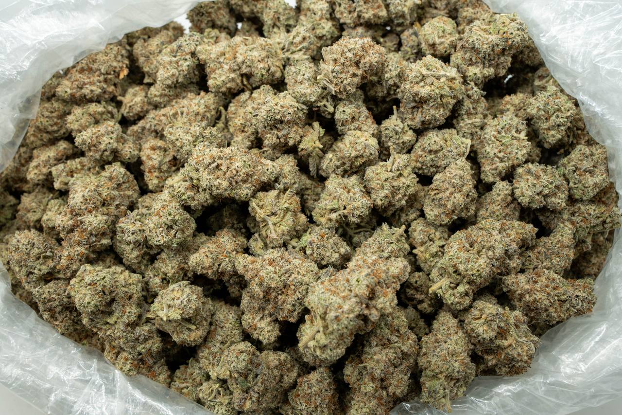Oreoz Indoor