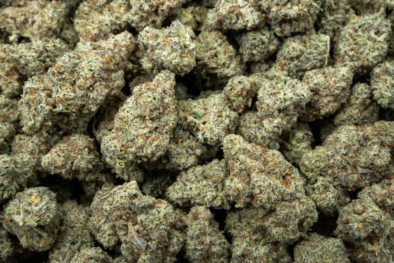 Oreoz Indoor
