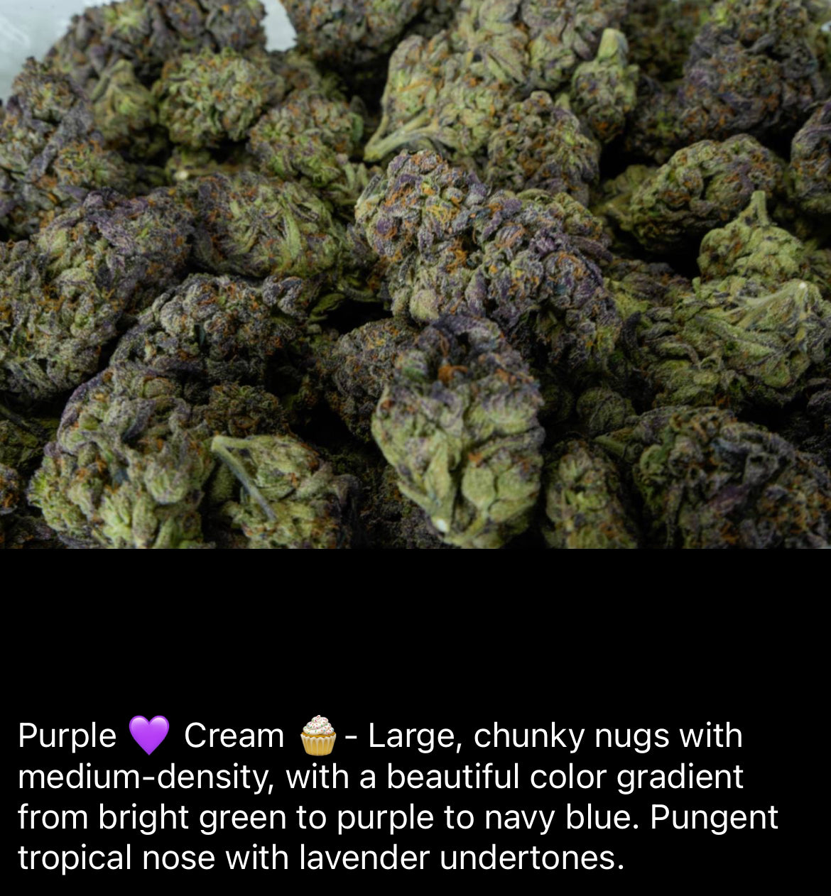 Purple Cream