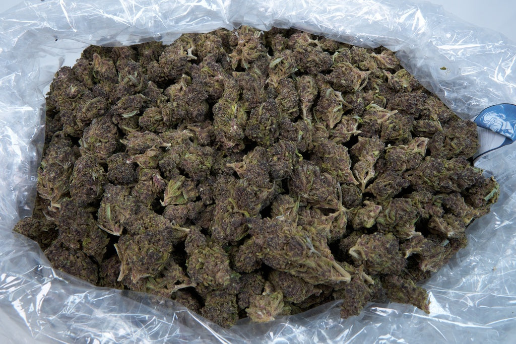 Purple Punch