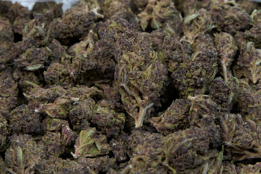 Purple Punch