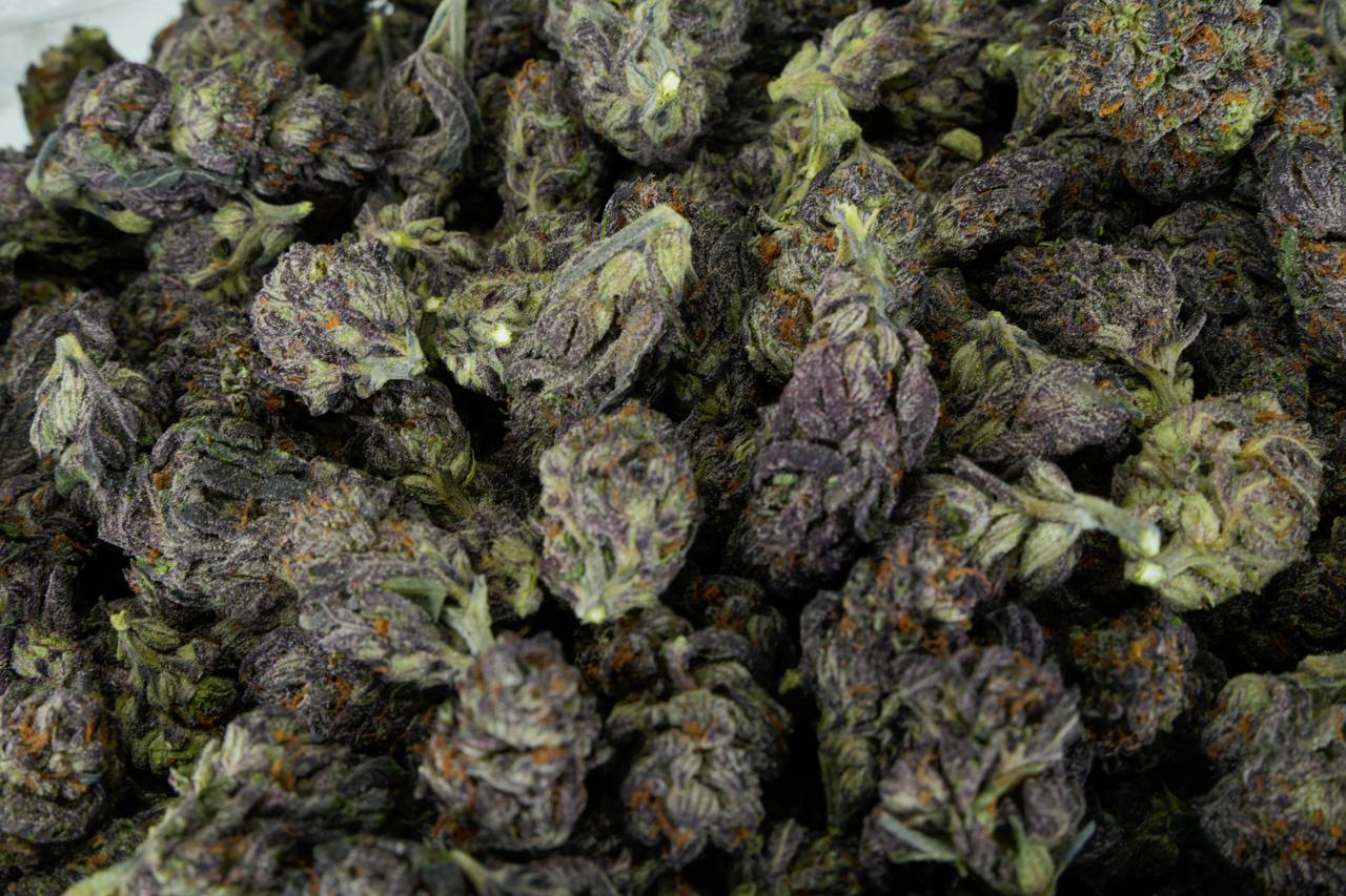 Purple Urkle