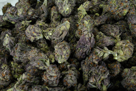 Purple Urkle