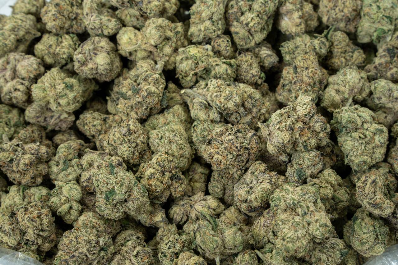 Sherbanger - Indoor