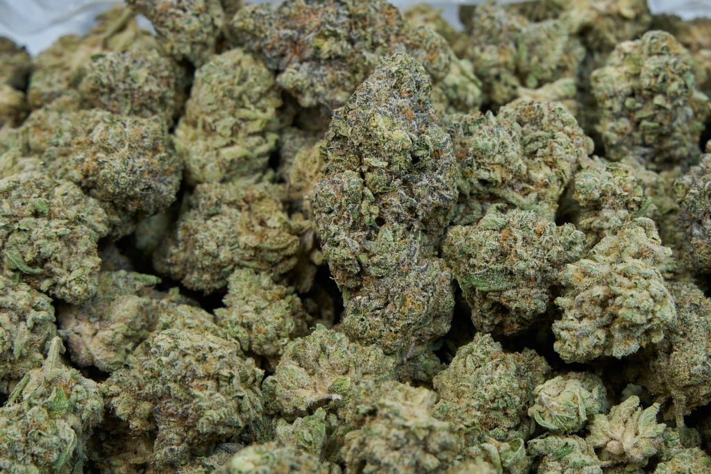 Sherbet Indoor