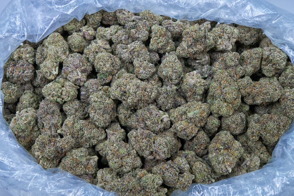 The One Indoor