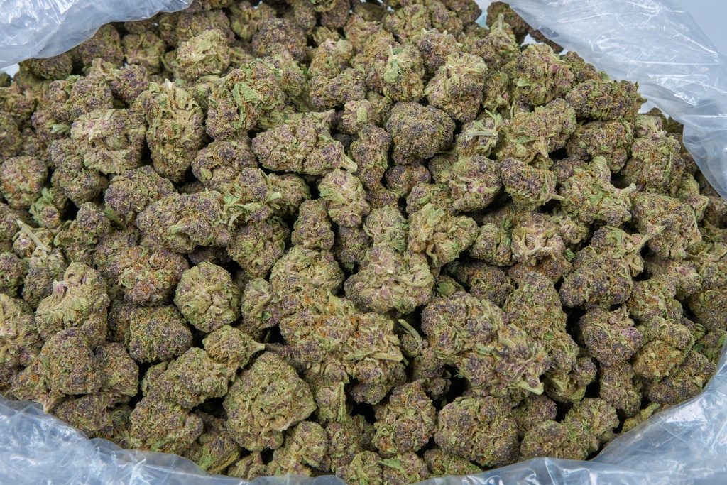 Tropicana Gelato