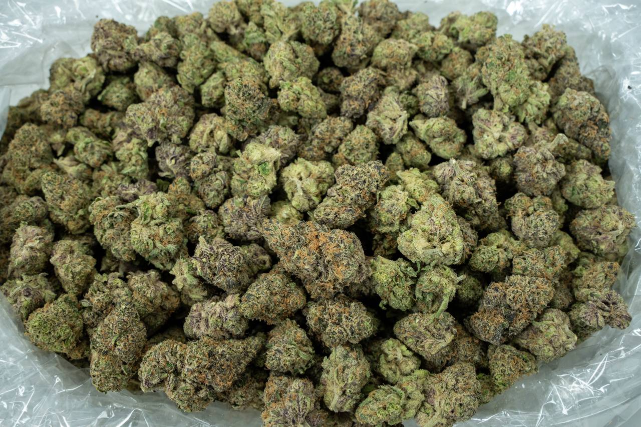 Watermelon Zkittles  - Indoor