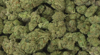 Blueberry Muffin