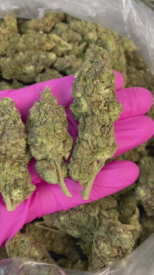 Gmo Cookies